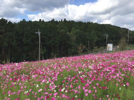 その他のイメージ