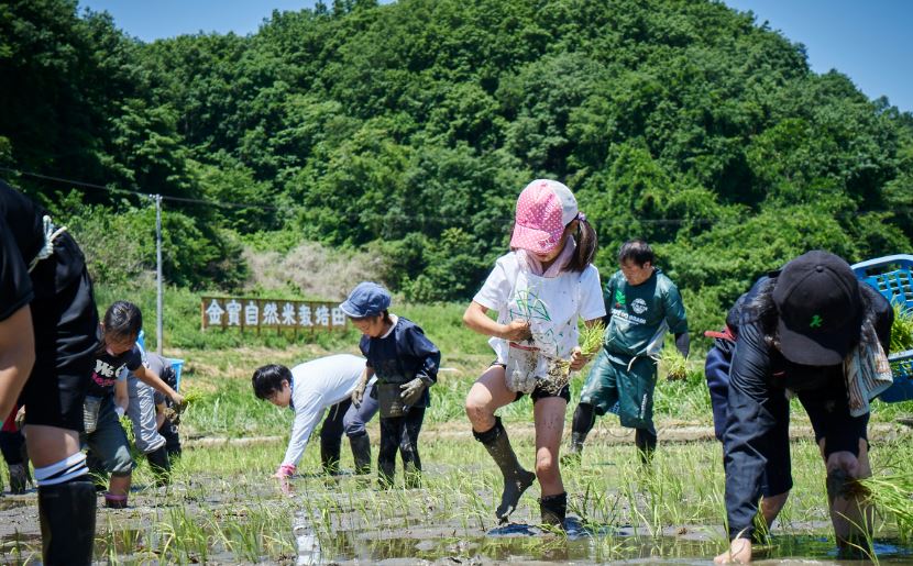 その他のイメージ